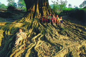 Bamei Kids' Happy time