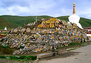 Back of Ganden Thubchen Choekhorling Monastery