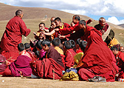 Lamas striving for the "lucky drink" coronated by the Living Buddha