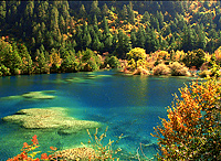 Jiuzhaigou in Autumn