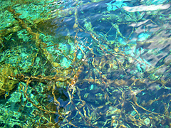 Jiuzhaigou - in the water