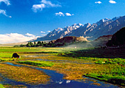 Ili Valley,Xinjiang