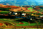 Dongchuan Red Soil, Yunnan