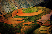 Dongchuan Red Soil, Yunnan