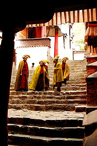 Monks in Tashilhunpo
