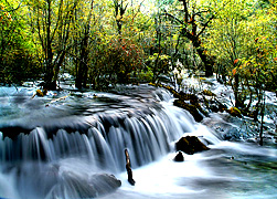 Pearl Shoal, Jiuzhaigou,Sichuan