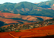 Dongchuan Red Soil,Yunnan