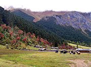 Dulongjiang Valley, Gongshan, Yunnan