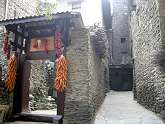 Taoping Qiang Village